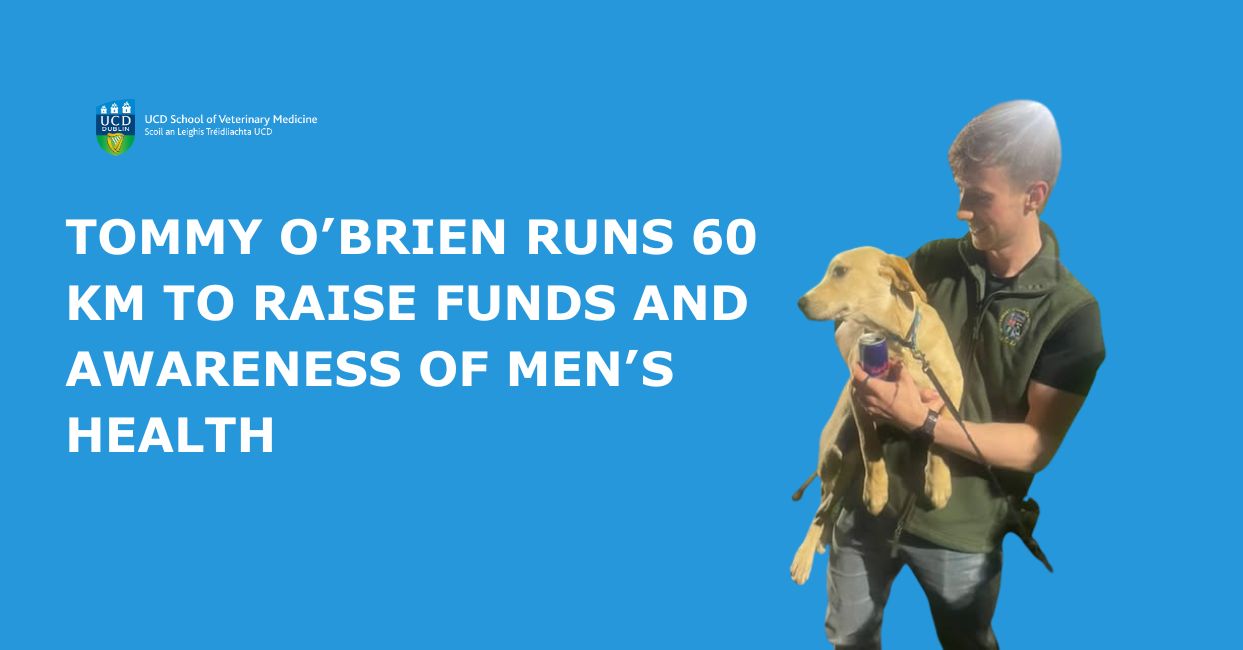 A young man wearing a dark green UCD Veterinary Medicine vest stands against a solid blue background, smiling while holding a light-tan dog in his arms. The graphic text beside him reads “Tommy O’Brien runs 60km to raise funds and awareness of men’s health,” with the UCD School of Veterinary Medicine logo in the top left.vvv