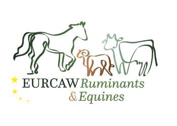 EURCAW Logo