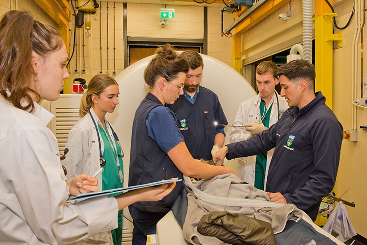 Photo of three students standing in front of a CT machine with a vet nurse and two vets preparing a cat for a CT scan