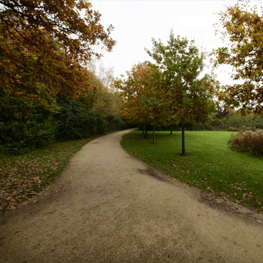 walking path in park